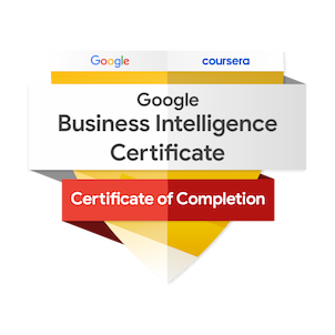 Google BizIntel Certificate
